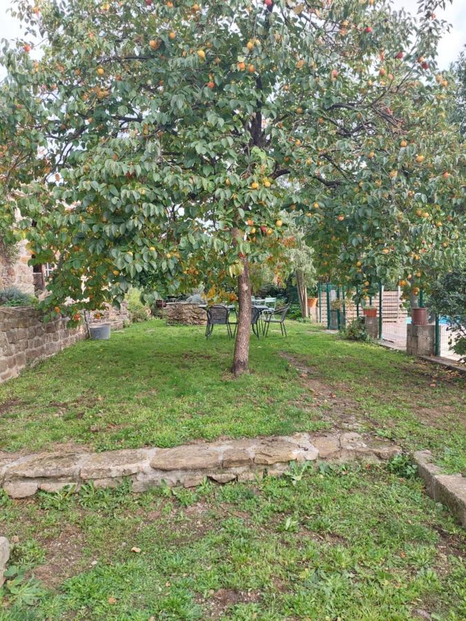 Le Mas Du Galibot Chambre Cambalotte Saint-Florent-sur-Auzonnet Bagian luar foto